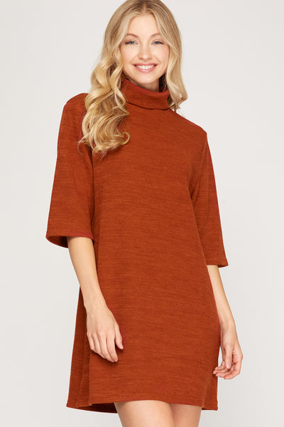 Leaves Are Falling Turtle Neck Knit Dress / Rust